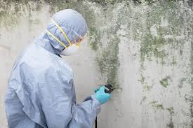  Knightsen, CA Mold Prevention & Removal Pros